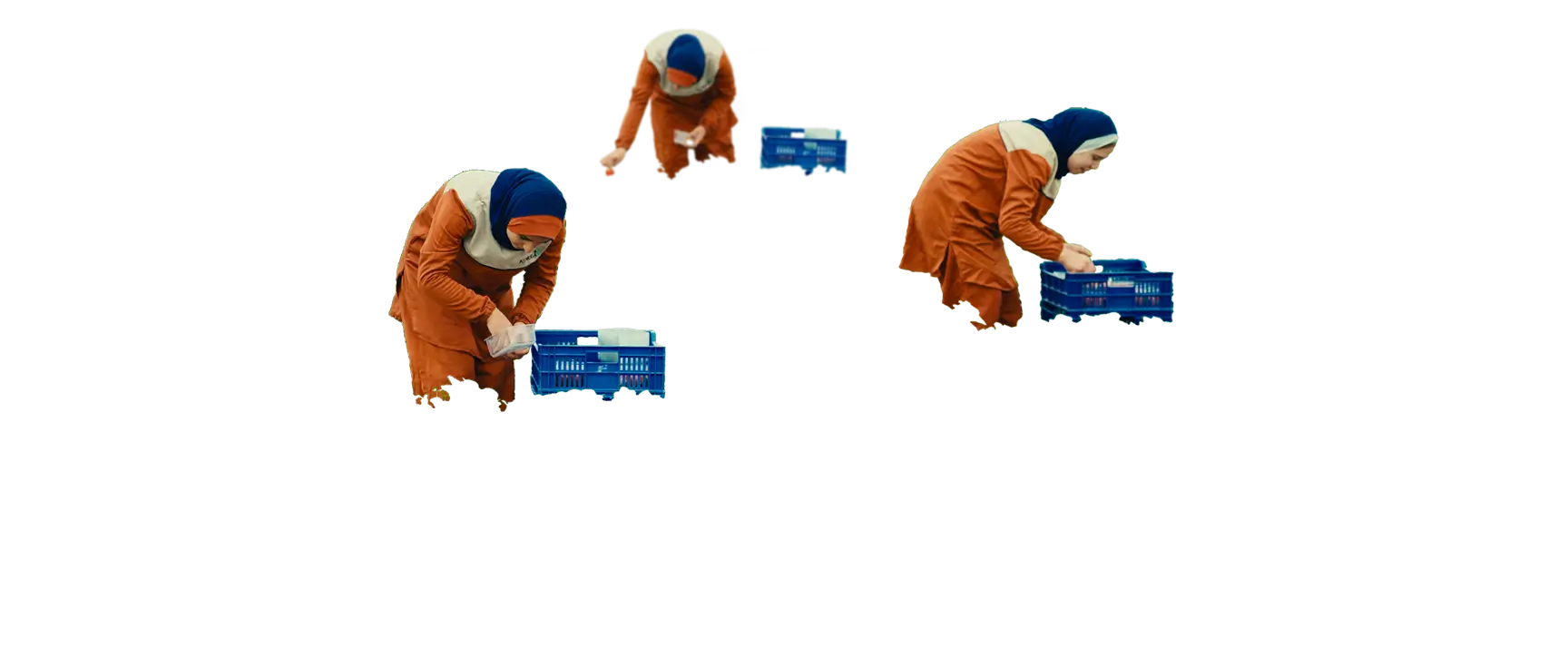 Women in field