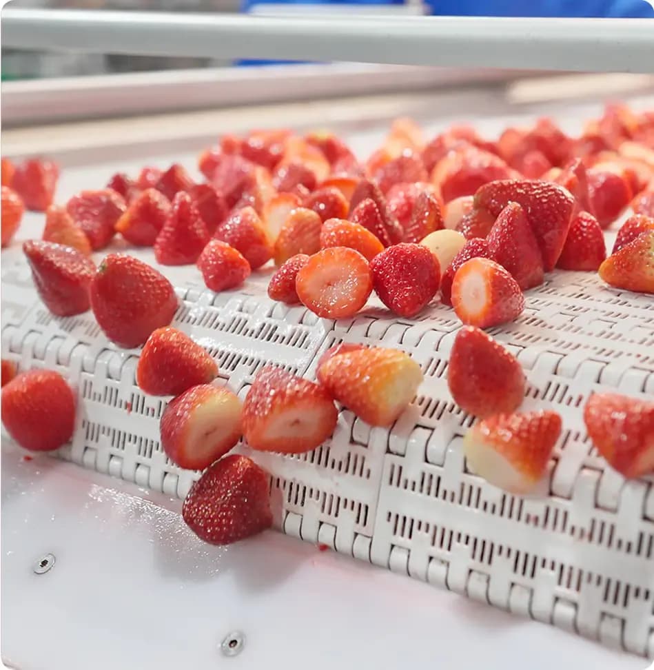 fresh strawberries on conveyor belt