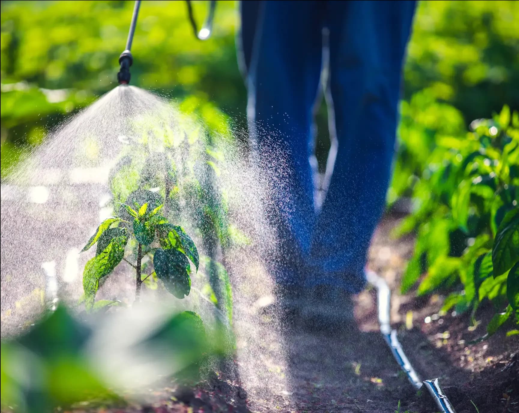 Pesticides & Fertilizers 