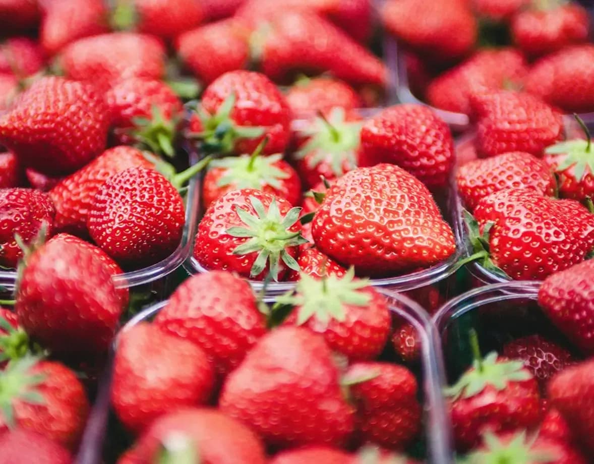 Grow Together Strawberries